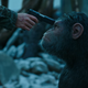 Illustration for article titled Humanity Prepares for the End in the First Trailer for War for the Planet of the Apes